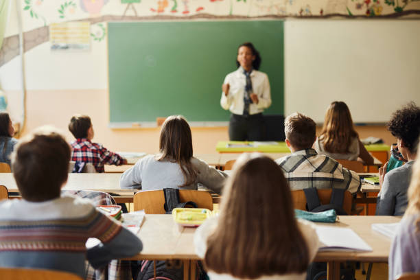 istock Rear view of elementary students attending a class in the classroom. 1673942782