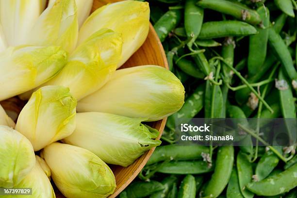 Belga Endiva - Fotografias de stock e mais imagens de Agricultura - Agricultura, Alface, Alimentação Saudável