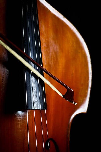 istock Vintage double bass 167397889