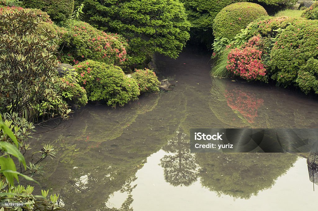 Bassin zen en été - Photo de Arbre en fleurs libre de droits