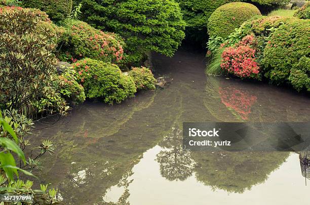 Photo libre de droit de Bassin Zen En Été banque d'images et plus d'images libres de droit de Arbre en fleurs - Arbre en fleurs, Beauté de la nature, Couleur verte