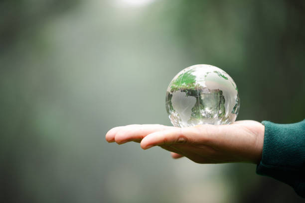 istock Hands Holding Globe Glass In Green Forest. Forest conservation concept. Environment Concept. elements of this image furnished by NASA 1673983015