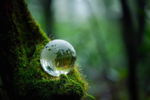 istock Environment. Glass globe on grass moss in forest, Green planet with abstract defocused bokeh lights, Environmental conservation concept. Elements of this image furnished by NASA 1673985330