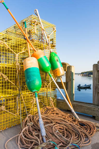 850+ Lobster Trap Maine Stock Photos, Pictures & Royalty-Free Images -  iStock