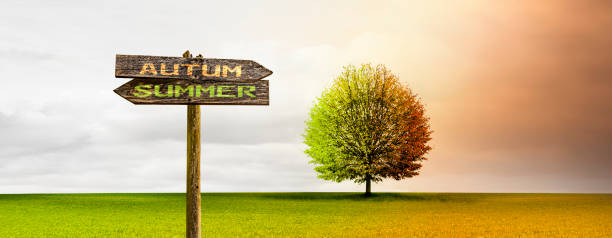 istock Season change from summer to autumn 1673995548