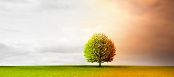 istock Season change from summer to autumn 1673995556