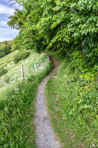 istock Winding path in the mountainous area 1674016396