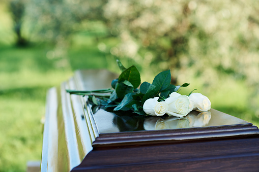 Focus on bunch of several fresh white roses lying on top of closed lid of wooden coffin standing in front of camera at modern graveyard