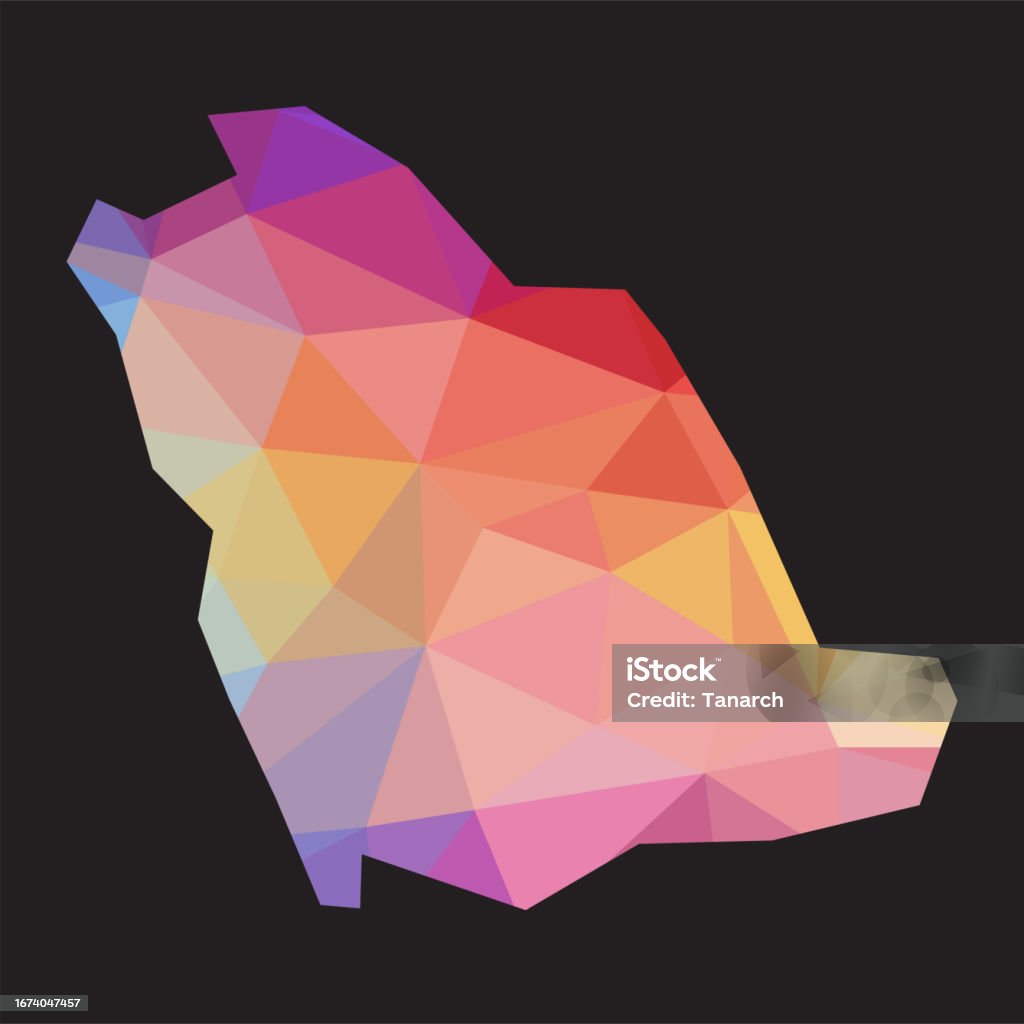 Saudi Abstract Map Colorful Abstract Vector Low Polygonal Of Saudi Arabia Map Stock ...