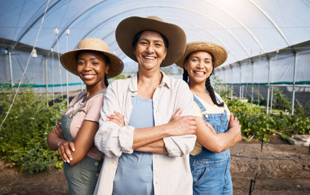 agricultura, retrato de grupo de mulheres em estufa e pequenos negócios sustentáveis na agricultura. equipe de agricultores felizes na fazenda de hortaliças, crescimento da carreira agro e diversidade com plantas orgânicas ecológicas - agriculture teamwork farmer people - fotografias e filmes do acervo