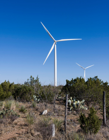 Large wind turbine array in a Nevada valley.
