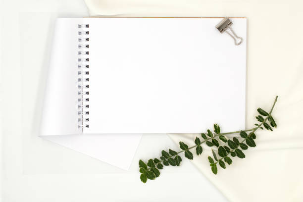 istock White notepad and green plant branch on white background with space for text, top view, flat lay 1674093554