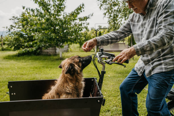 istock Man riding dog in cargo bike 1674122179