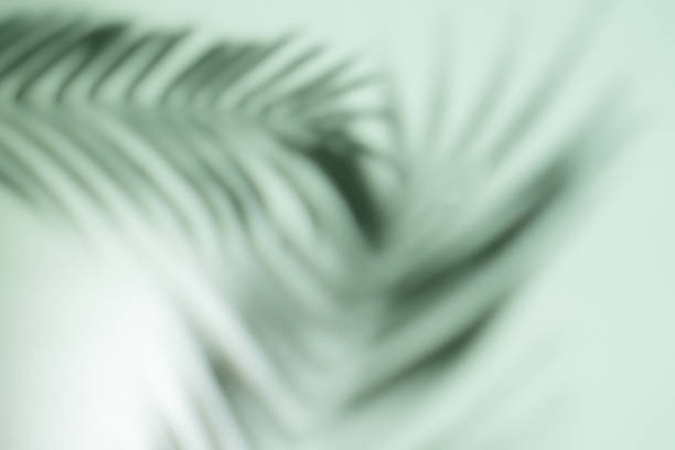 istock Green background with leaves shadows 1674123567
