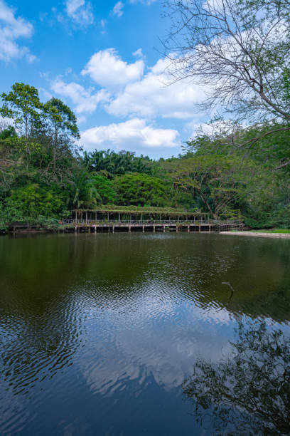 istock The lake in the khao kheow open zoo 1674123604