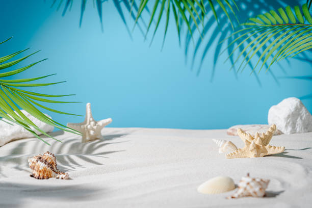 istock Symbolic tropical beach background 1674124743