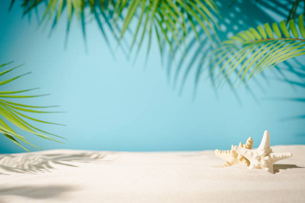 istock Symbolic tropical beach background 1674124778