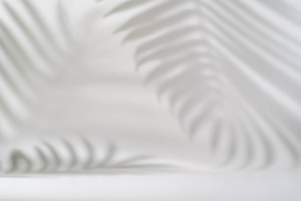 istock Shadow of tropical leaves 1674126517