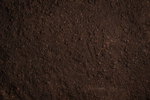 kuvapankkikuvat ja rojaltivapaat kuvat aiheesta hedelmällinen maaperän tausta. - lika