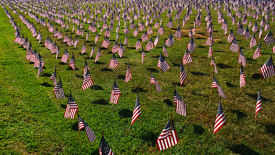 American Flags for Labor Day in grass field, USA Holiday, Memorial Day