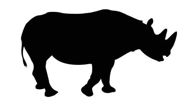 Vector illustration of African Rhino Silhouette Isolated on White