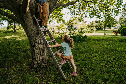 Little brother and sister climbing with ladder together on a tree outdoors.