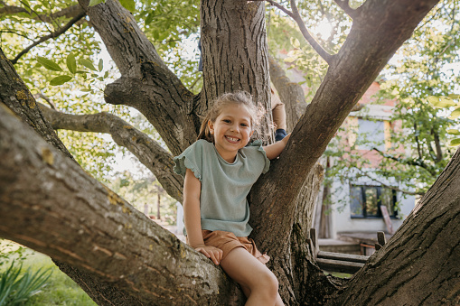 Cute little girl playing on a tree outdoors.