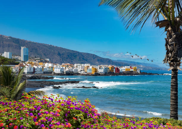 Landmark and tourism in Canary Islands. Spain beaches. Sunset panorama Puerto de la cruz village coast in Tenerife. puerto de la cruz tenerife stock pictures, royalty-free photos & images