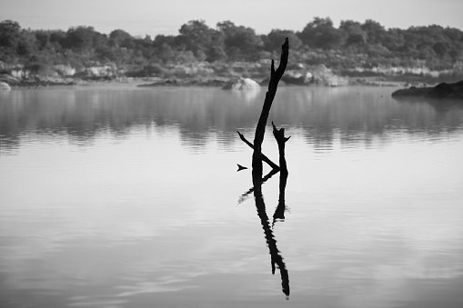 Landscape in the Molano reservoir. Spain.