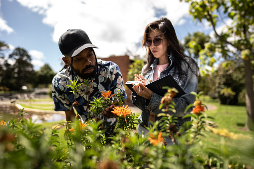 Botany students examining flowers outdoors