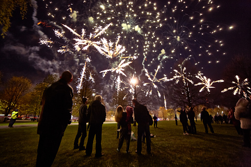Colorful fireworks and salute of various colors in the night sky, in park, with group of people on the foreground.