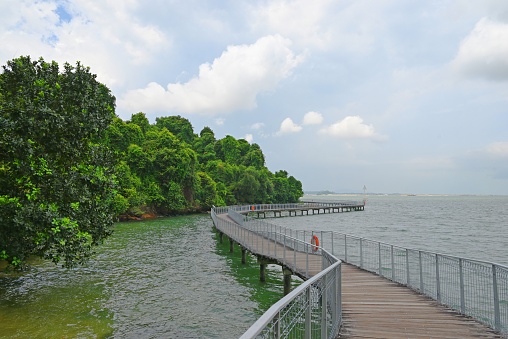 Walkway throught the marine wetlands on Pulau Ubin