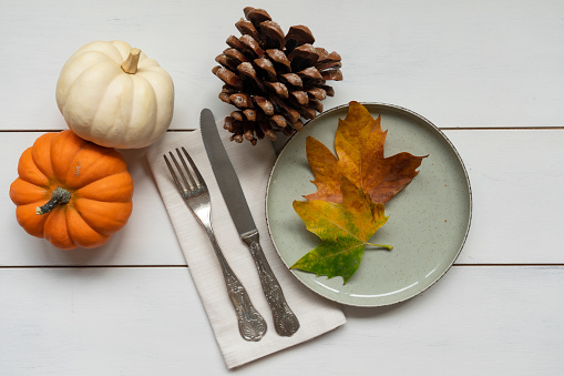 Thanksgiving autumn place setting