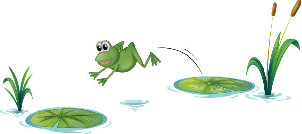 뛰어내림 개구리 - frog jumping pond water lily stock illustrations
