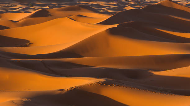 istock Beautiful Sand dune desert landscape in Saudi Arabia. 1674221325