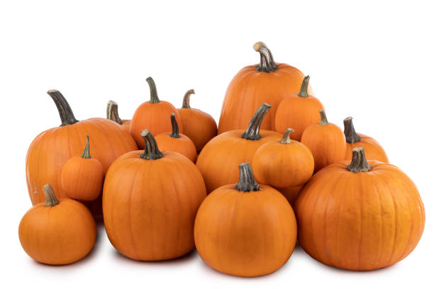 istock Many orange pumpkins on white 1674243872