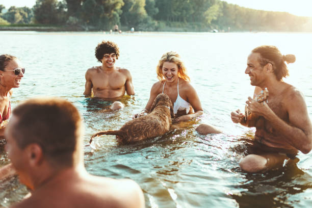 Enjoying With The Best Friends Happy young people having a great time together at the beach. They are sitting in the water and man is playing ukulele and singing. Sunset over water. dog swimsuit stock pictures, royalty-free photos & images