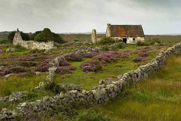 Abandoned house in the southern part of Connemara (Conemara) National park in Ireland. Stone wall in foreground. Next to the house is an abandoned shed.