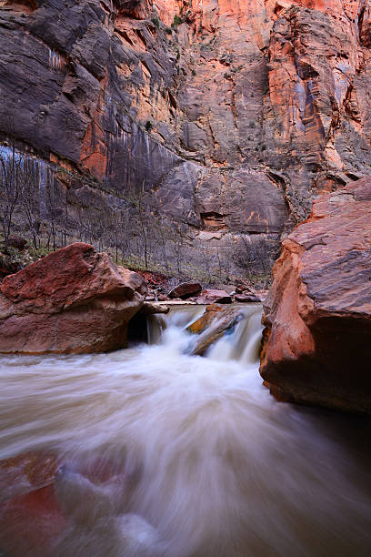 istock Virgin River in Zion National Park 167427487