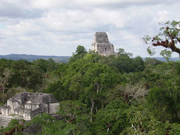 istock Pyramids in the jungle at Tikal, Guatemala 167427563