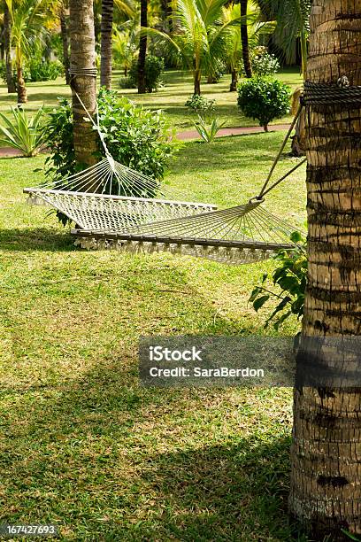 Foto de Rede e mais fotos de stock de Ajardinado - Ajardinado, Amarrado, Apartamento