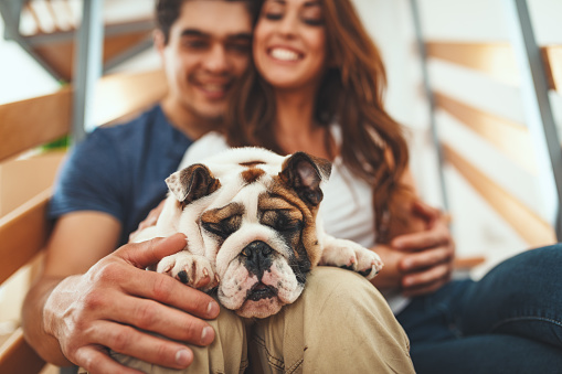 The young happy couple is moving into a new house. They are sitting on a stairs with their little puppy after they brought boxes with things to their new home.