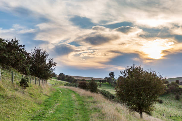 istock A view along a grass path in the South Downs on a September evening 1674298103