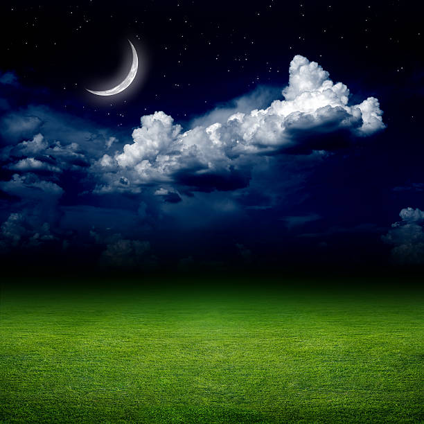 istock Green field with a half moon and cloudy sky above 167430717