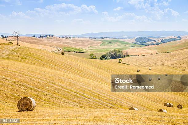 Land In Der Toskana Stockfoto und mehr Bilder von Agrarbetrieb - Agrarbetrieb, Anhöhe, Baum