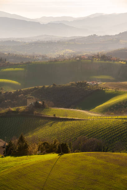 istock Countryside landscape, green agricultural fields among hills 1674332838