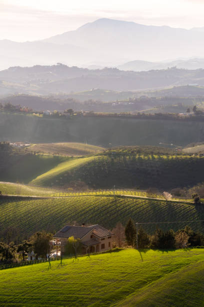 istock Countryside landscape, green agricultural fields among hills 1674335578