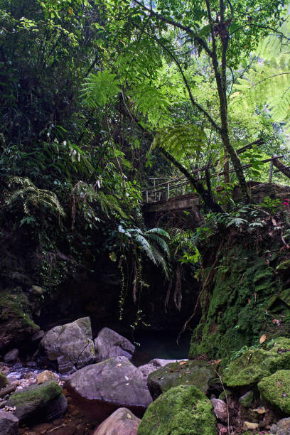 istock Stretches of rocks in the river, some covered with moss, some natural 1674341038