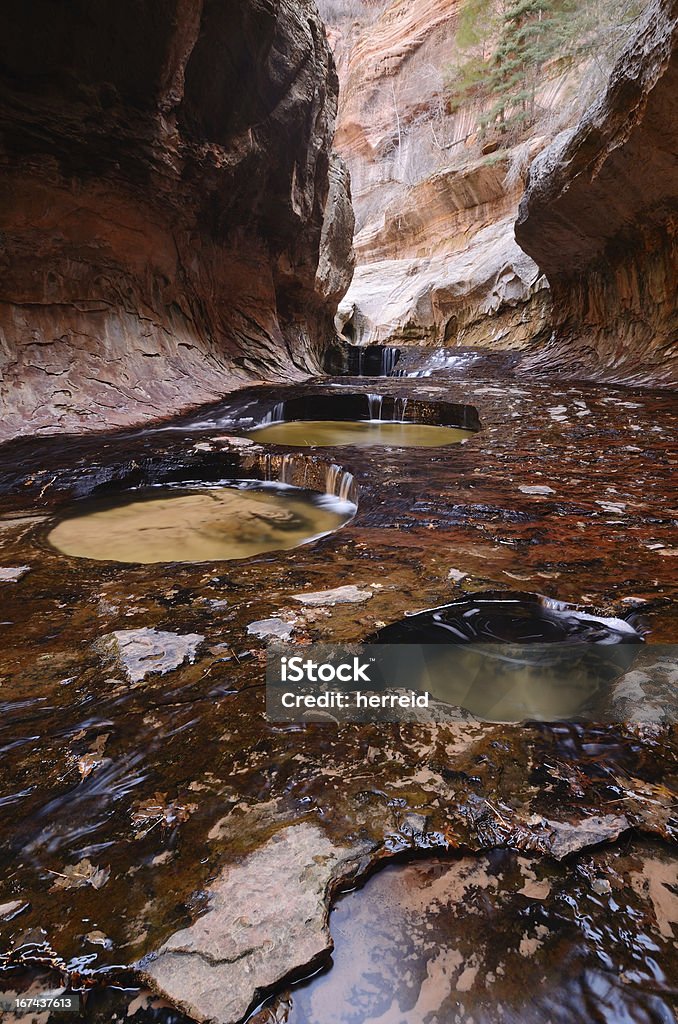 Le métro à Zion National Park - Photo de Beauté de la nature libre de droits