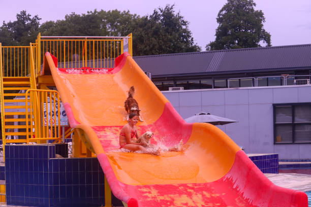 istock Dog fun in a pool on a hot day 1674386314